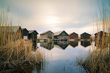 Boathouse on the lake neusiedl in Burgenland Austria