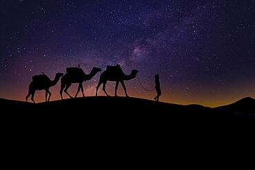 Silhouette of three camels and their handler against the rising sun in the Saharan Desert in Morocco