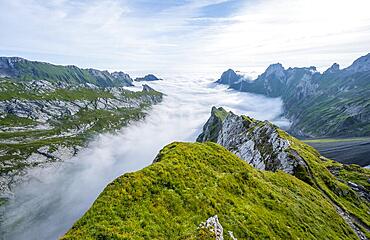 View of mountain peaks above the sea of clouds, Saentis mountains and valley of Meglisalp, high fog, Appenzell Ausserrhoden, Appenzell Alps, Switzerland, Europe