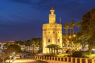 The historic Torre del Oro tower at dusk, Seville, Andalucia, Spain, Europe