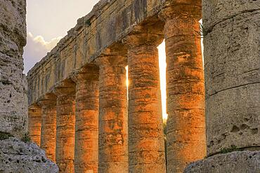 Evening light, Doric temple, detail, backlit columns, Segesta, Ancient site, Archaeological site, Doric, Trapani province, Sicily, Italy, Europe