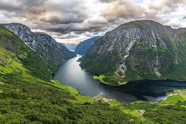 Naeroyfjord, branch of the Sognefjord, Norway, Europe