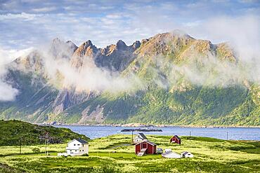 Houses by the fjord, fishing village Hovden, Langoya island, Vesteralen archipelago, Norway, Europe