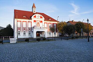 Market Square with Town Hall in Gostyń, Poland, Europe