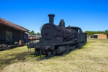 Old steam trains from the Dorrigo railway line, Unesco world heritage sight Dorrigo National Park, New South Wales, Australia, Oceania