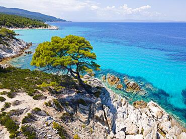 Aerial view, blue, clear water, coast at Mega Portokali beach, Sarti, Sithonia, Chalkidiki, Central Macedonia, Greece, Europe