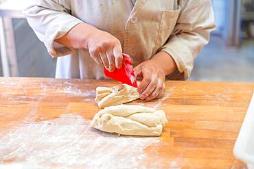 Woman breadmaker employee in the workshop of artisan bakery cutting dough