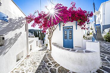 White Cycladic house with blue door and pink bougainvillea, with sun star, picturesque alleys of the village of Lefkes, Paros, Cyclades, Greece, Europe