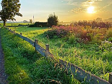 Early morning on the Leda, Loga, Leer, East Frisia, Germany, Europe