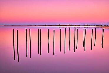 Pink sky reflection in the water with stakes in the water