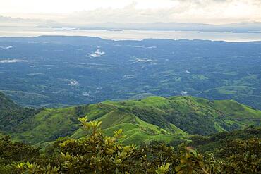 Top view tropical forest rainy weather