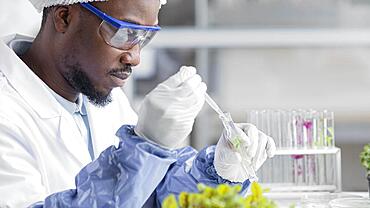 Side view researcher biotechnology laboratory with plant test tube