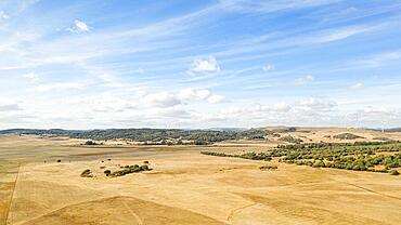 Amazing landscape with dry land