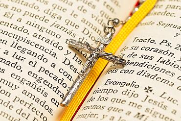 Necklace cross holy book