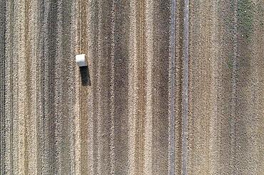 A roll of straw lies on a harvested field, image taken with drone, Egeln, Saxony-Anhalt, Germany, Europe