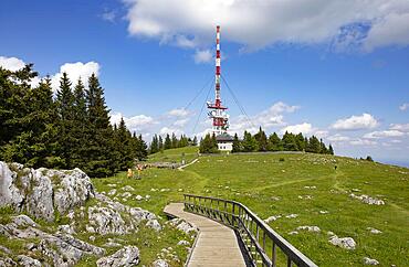 Hiking trail with radio relay station Schoeckl, Schoeckl, Sankt Radegund near Graz, hills and Schoecklland, Styria, Austria, Europe