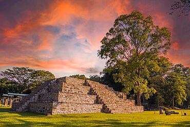 A Mayan pyramid next to a tree at the Copan Ruinas temples in a beautiful orange sunrise. Honduras