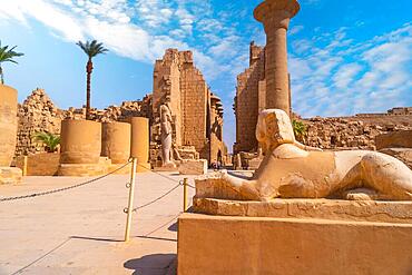 Sculpture of the pharaoh with the body of a lion inside the temple of Karnak, the great sanctuary of Amun. Egypt