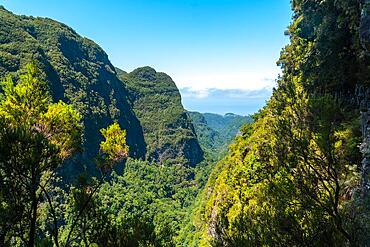 Views from the trekking trail on the cliffs at Levada do Caldeirao Verde, Queimadas, Madeira