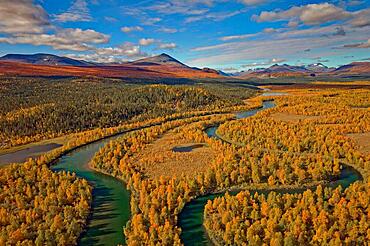 Drone shot, view of the Aenok marshland with river Kamajakka, birch forests, autumn, intense colours, Vallespiken mountain on the left, Sarek mountains in the background, Kvikkjokk, Jokkmokk, Norrbottens laen, Lapland, Northern Sweden, Sweden, Europe