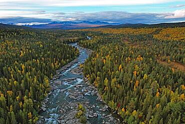 Drone shot, view of the river Kamajakka, coniferous forest and birch forest, autumn, Sarek mountains in the background, Kvikkjokk, Jokkmokk, Norrbottens laen, Lapland, Northern Sweden, Sweden, Europe