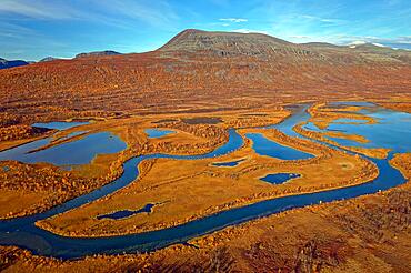 Drone shot, view of the valley Vistasvagge with the meandering river Vistasjakka and countless small lakes, birch forests, autumn, intense colouring, mountain landscape in the background, Nikkaluokta, Kiruna, Gaellivare, Norrbottens laen, Lapland, Northern Sweden, Sweden, Europe