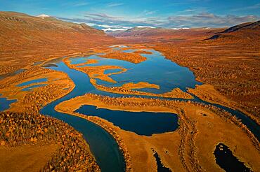 Drone shot, view of the valley Vistasvagge with the meandering river Vistasjakka and countless small lakes, birch forests, autumn, intense colouring, mountain landscape in the background, Nikkaluokta, Kiruna, Gaellivare, Norrbottens laen, Lapland, Northern Sweden, Sweden, Europe