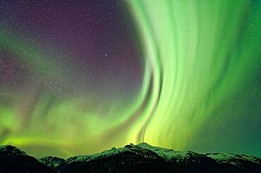 Northern lights (Aurora borealis) in different colours, starry sky, snowy mountain landscape in front, Alaska, USA, North America