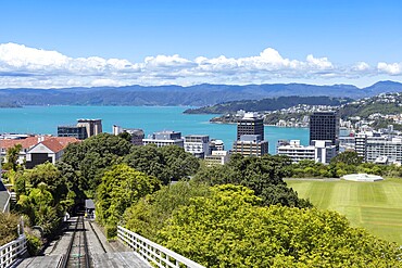 Scenic Panoramic skyline of Wellington downtown harbor and financial center in New Zealand