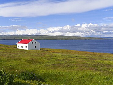 Coastal landscape in the north-east of Iceland