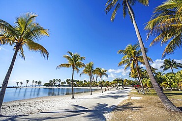 The Round Beach at Matheson Hammock County Park Miami Florida