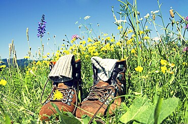 Mountain boots on a pasture in the german alps