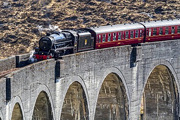 Jacobite steam train at the Glenfinnan viaduct, scottish highland, Scotland, UK