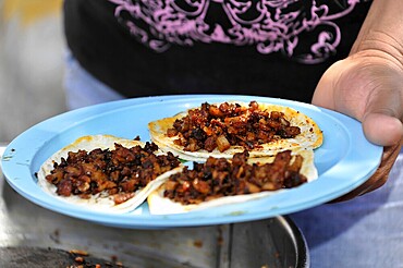 Old town of San Cristobal de las Casas, Chiapas, Mexico, close-up of three tacos on a plate, held by one hand, San Cristobal de las Casas Chiapas Mexico, Central America