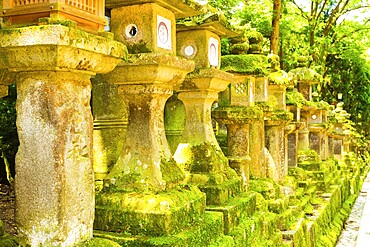 Row of repeating moss covered stone lanterns at Todai-ji temple complex in Nara, Japan, Asia