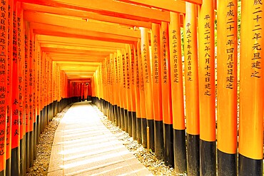 KYOTO, JAPAN, JUNE 15, 2015: Japanese text written on colorful red torii gates supports repeating at Fushimi Inari Taisha Shrine without people present in Kyoto, Japan. Horizontal copy space