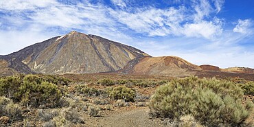 El Teide National Park, behind it the Pico del Teide, 3715m, World Heritage Site, Tenerife, Canary Islands, Spain, Europe