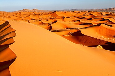 Sand dunes, Erg Chebbi, Sahara, Southern Morocco, Morocco, Africa