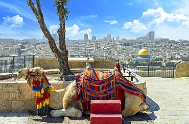 Jerusalem, Islamic shrine Dome of the Rock located in the Old City on Temple Mount