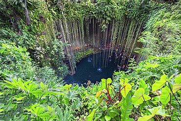 Ik Kil, Mexico, 20 December, 2019: Ik Kil Cenote located in the northern center of the Yucatán Peninsula, a part of the Ik Kil Archeological Park near Chichen Itza, Central America