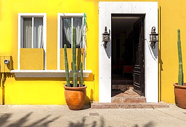 Scenic colonial streets and architecture of San Jose del Cabo in historic city center, hub for culture and numerous art galleries