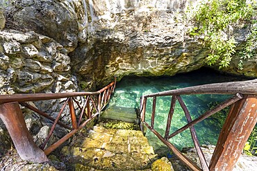 Scenic Cenote Casa Tortuga near Tulum and Playa Del Carmen, a popular tourist attraction for local and international tourism