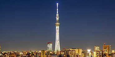 Tokyo SkyTree tower with the skyline skyscrapers panorama at night in Tokyo, Japan, Asia