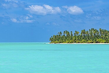 Bangaram island, Lakshadweep archipelago, Union territory of India