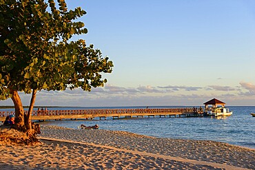 Beach view with a tree looking out over a long wooden jetty and a boat in the sea at sunset, evening light, Dominicus beach, Bayahibe, Dominican Republic, Hispaniola, Caribbean, America, Central America