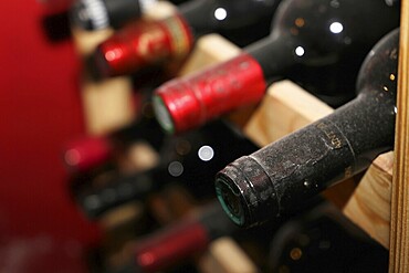 Wine cellar with red wine bottles