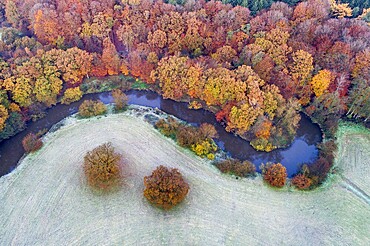 Aerial view of the Hunte in autumn, Meander, Hunte loop, Hunte, river, tree, forest, autumn colours, Huntepadd, Dötlingen, Lower Saxony, Germany, Europe