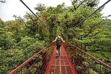 Young man, tourist on red suspension bridge between the treetops in the rainforest, Monteverde Cloud Forest, Monte Verde, Puntarenas Province, Costa Rica, Central America