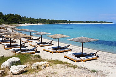 Quiet beach with parasols and sunbeds, crystal clear water and blue sky create a relaxed atmosphere, Golden Beach, Pallini, Palioúri, Kassandra, Chalkidiki, Halkidiki, Central Macedonia, Greece, Europe