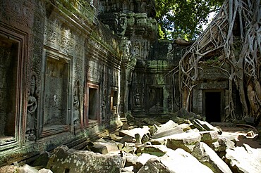 Picturesque decayed Khmer temple in the jungle Ta Prohm Angkor Siem Reap Cambodia